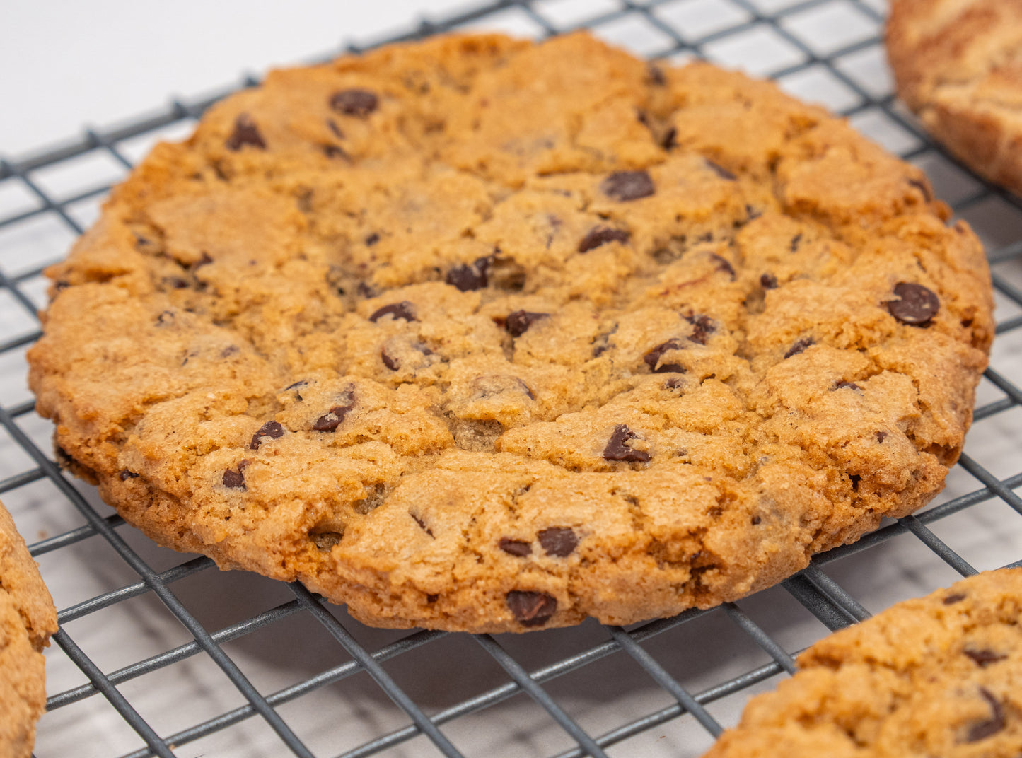 Vegan Chocolate Chip Cookie